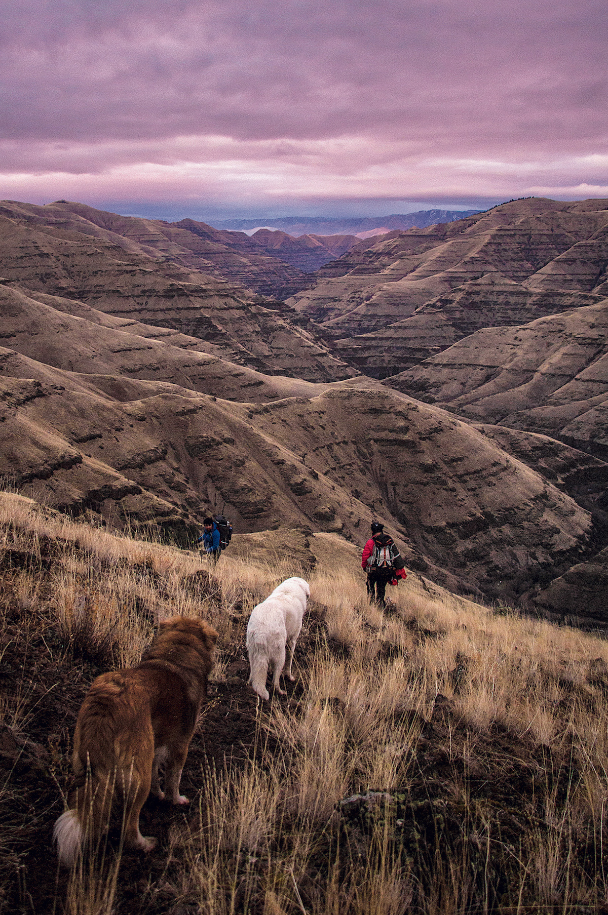 Len Necefer and Mia Ritter-Whittle enter Inenensaqan (Joseph Canyon), which had long served as a winter residence for Nez Perce people before their forced removal from their traditional lands in Oregon. [Photo] Joe Whittle