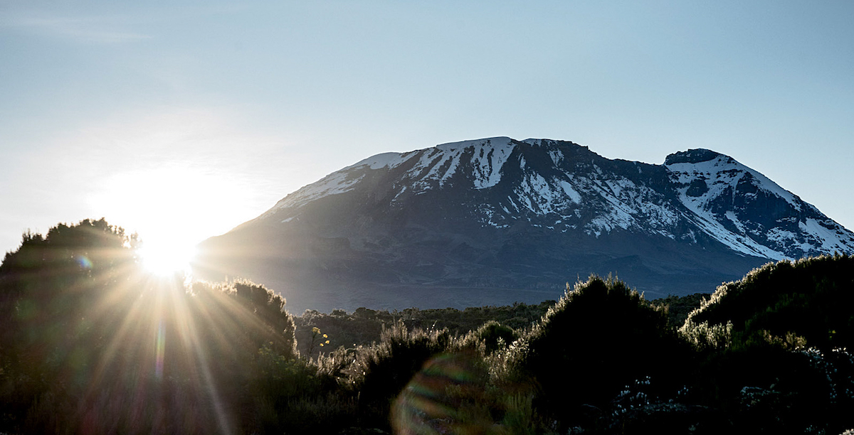 Kilimanjaro (19,341'), with the Western Breach visible, as seen from Shira 1 Camp at 11,500 feet. [Photo] Christian Pondella