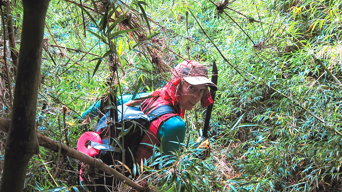 Sauter heading to El Hermano. The dense rainforest slowed the team's average pace on this part of the approach to under a mile a day. [Photo] Niels Tietze