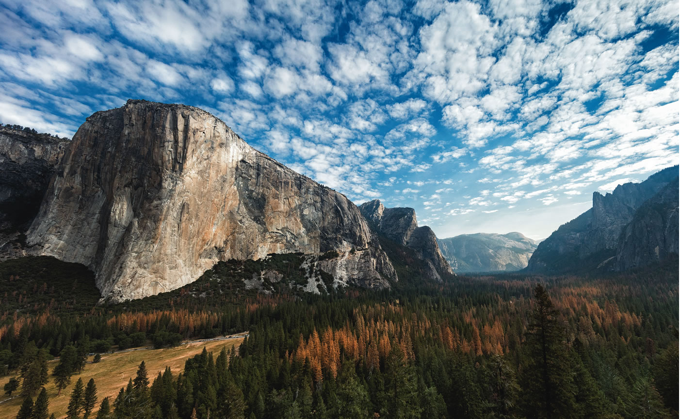 [Photo] Tyler Roemer