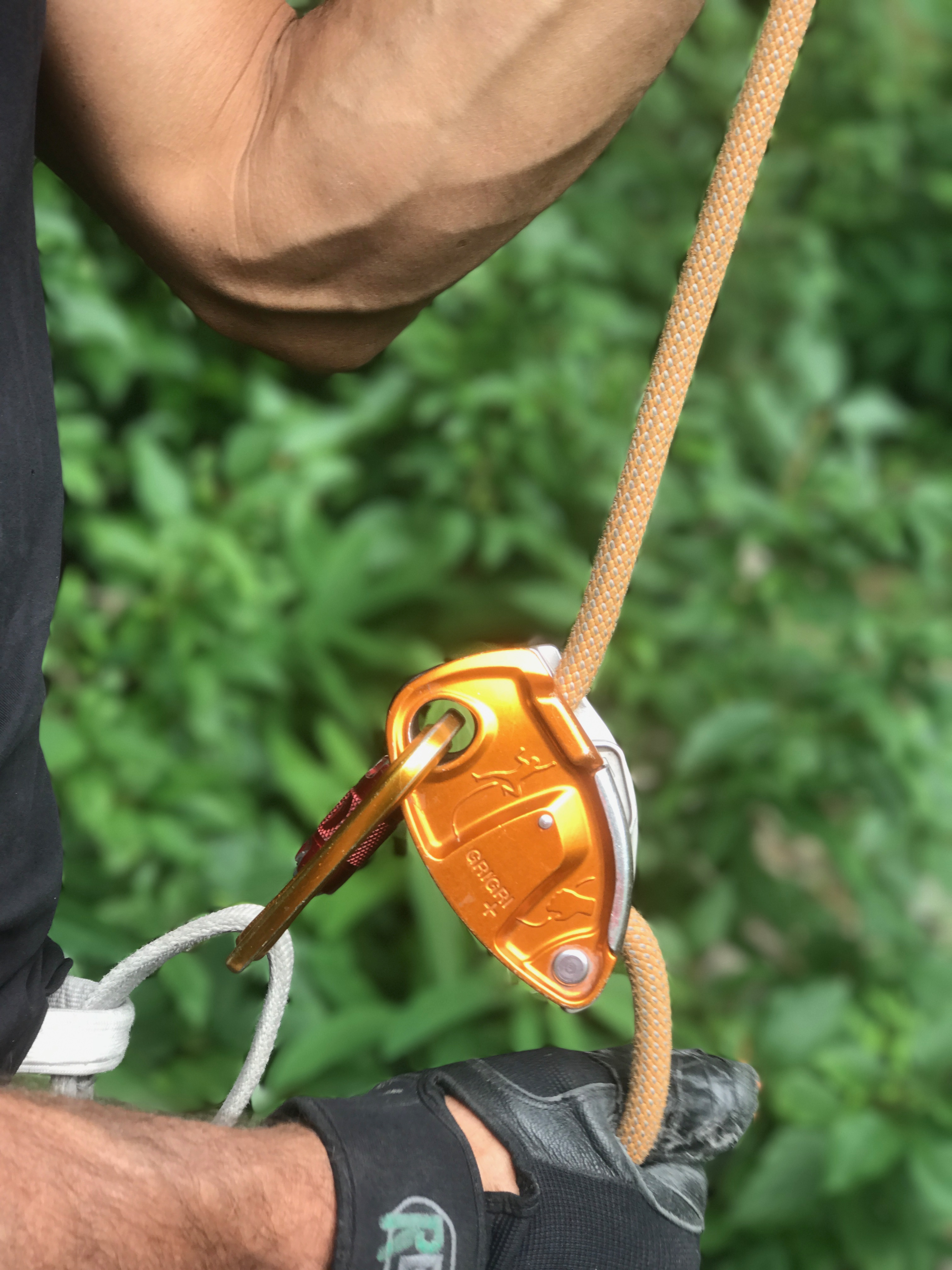 David Roetzel belays with the GriGri+ while the author leads the first pitch of Amphibian, Rigid Designator Amphitheatre, Vail, Colorado. [Photo] Beth Goralski