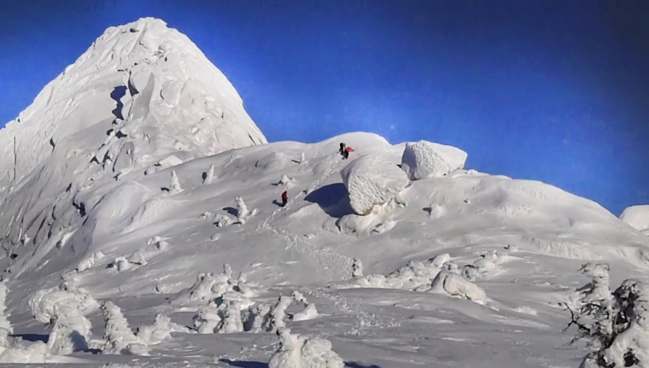 Climbers make their way up White Needle (6420m) in the Indian Himalaya. [Photo] Courtesy of the Indian Mountaineering Foundation