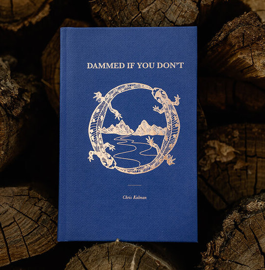 kalman-diyd-excerpt-3 Book cover: Dammed If You Don't by Chris Kalman, illustrated by Craig Muderlak. $24.99.