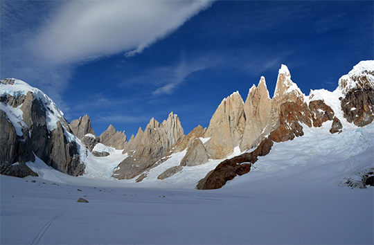 maestri
