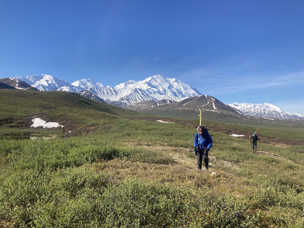 Hiking out to Wonder Lake after reaching both summits of Denali (20,310') via the Cassin Ridge and skiing down the Northwest Buttress to the end of the Peters Glacier. [Photo] Mike Gardner collection