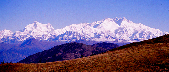 panoramaburns