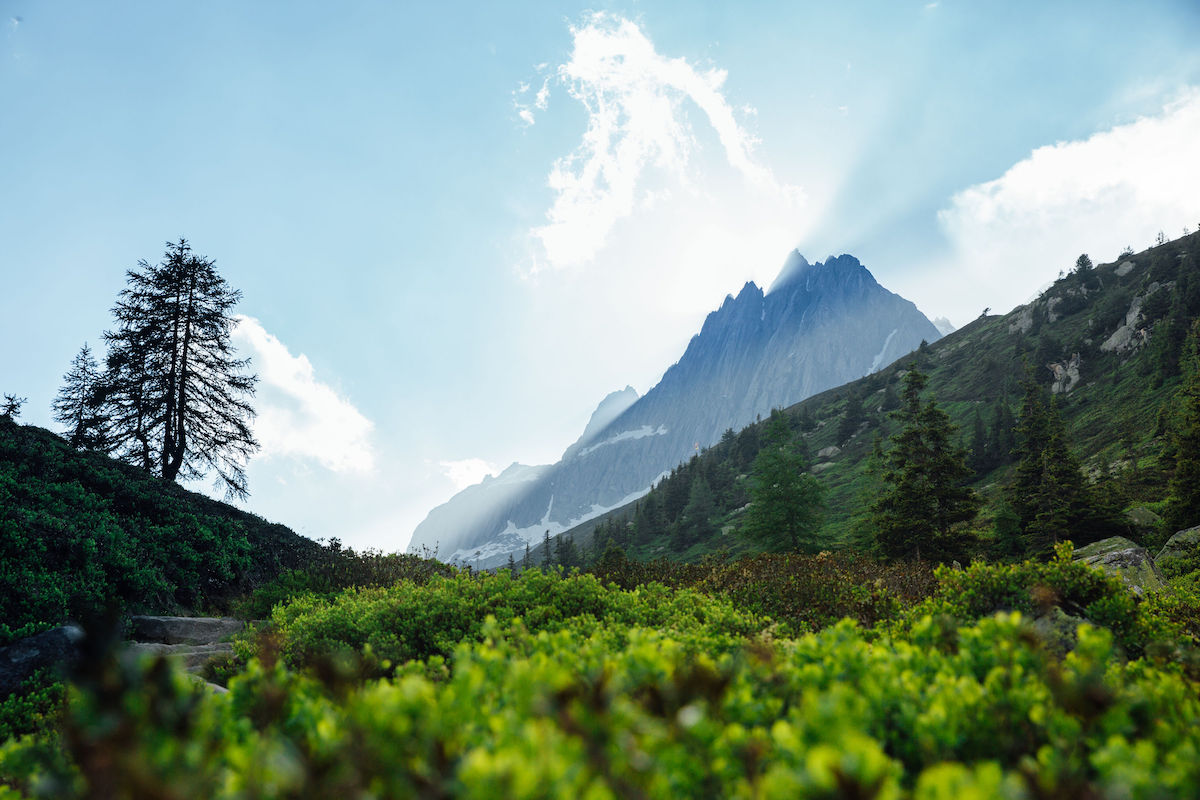 Salbitschijen in afternoon sunshine, Switzerland. [Photo] Tyler Casey