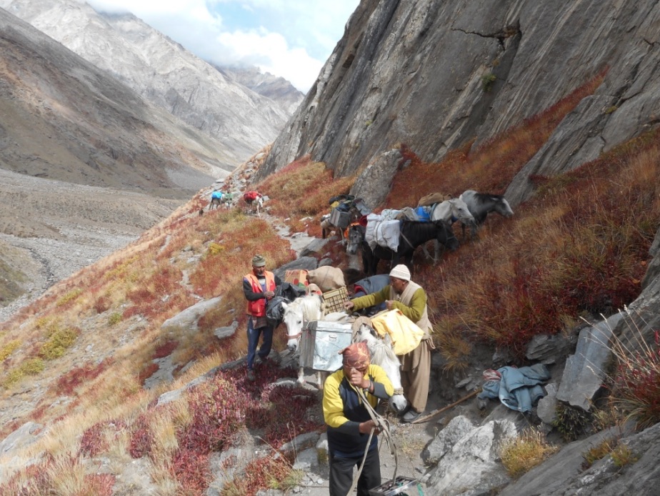 Packing into base camp. [Photo] Alan Rousseau