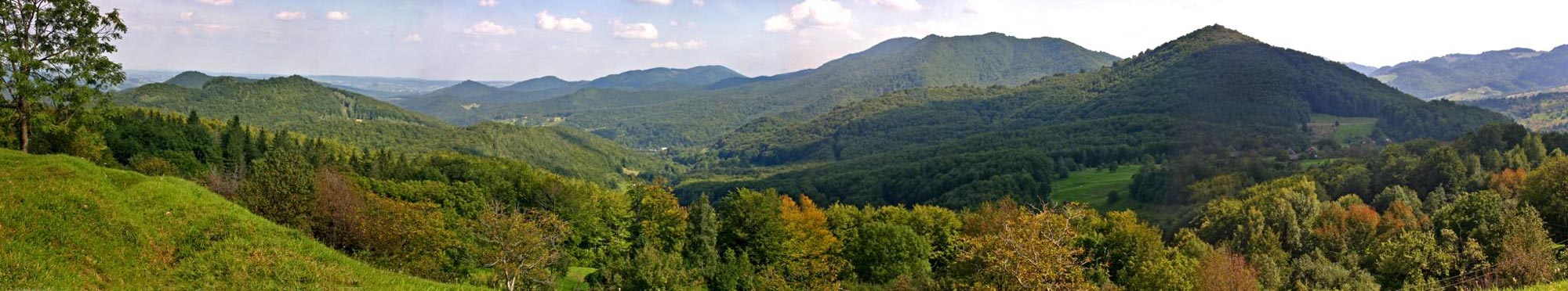 The Carpathian mountains, where Ivan Malkovych grew up.