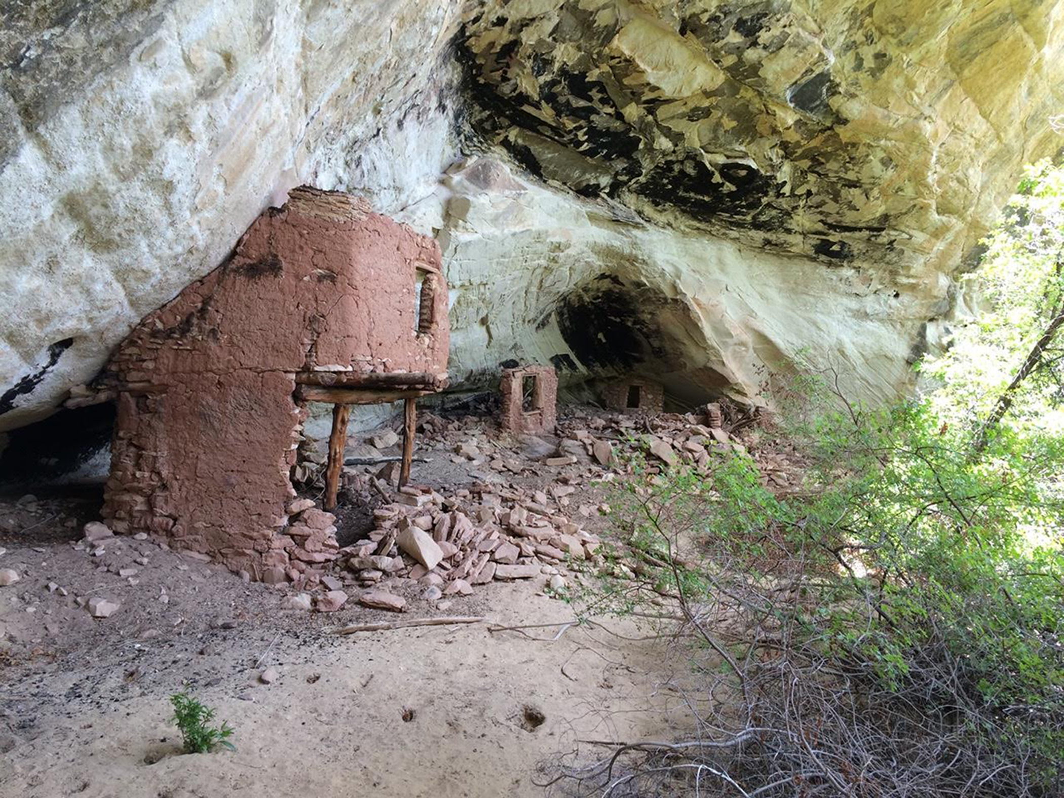[Photo] Courtesy of Bears Ears Inter-Tribal Coalition