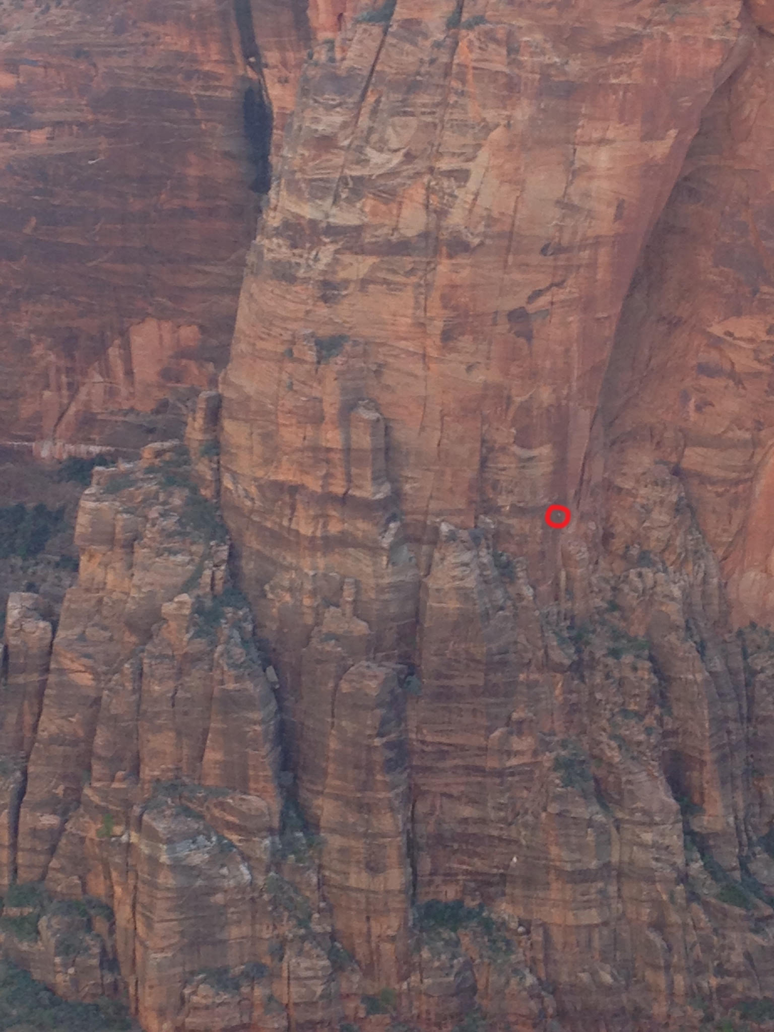 Brett's friend Libby Sauter was climbing across the canyon on Moonlight Buttress during Brett's free ascent of Spaceshot. Sauter took this photo of Brett--circled in red--sending Spaceshot's crux fourth pitch. [Photo] Libby Sauter