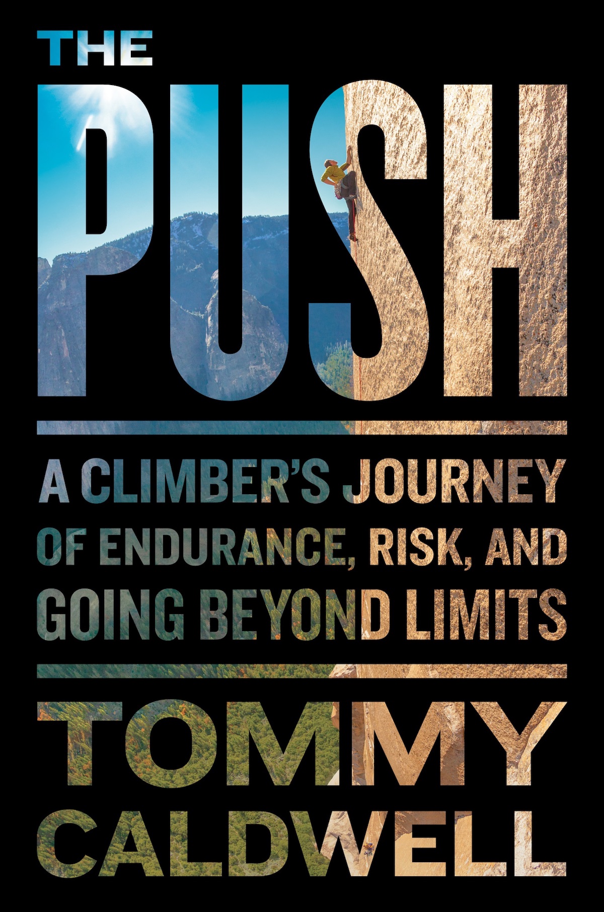 caldwell-book-the-push-2 The book cover