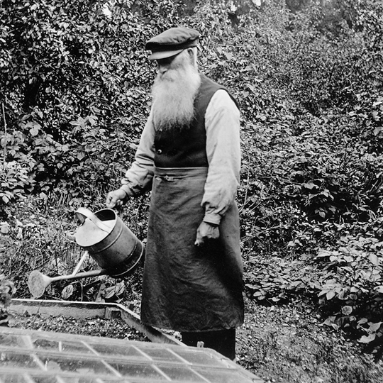 gardening-1