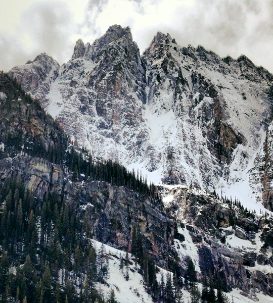 montana-9
