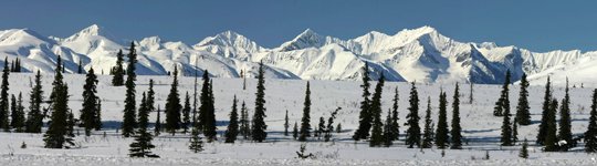 piolet-alaska