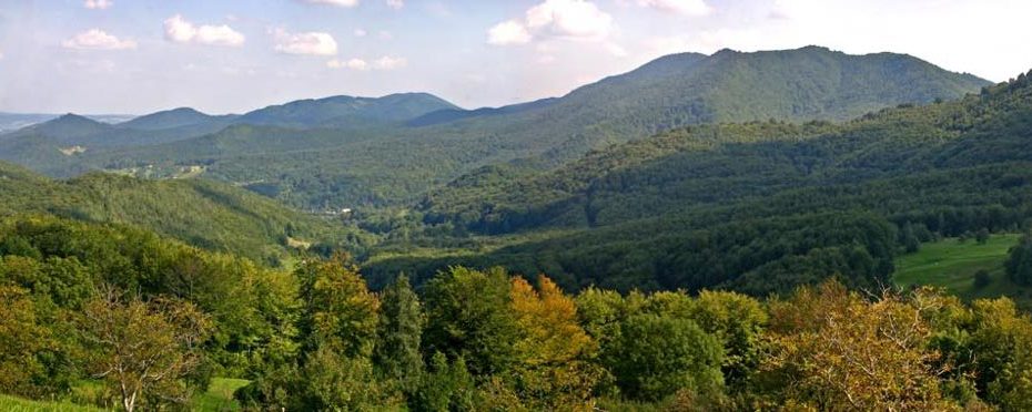 The Carpathian mountains, where Ivan Malkovych grew up.